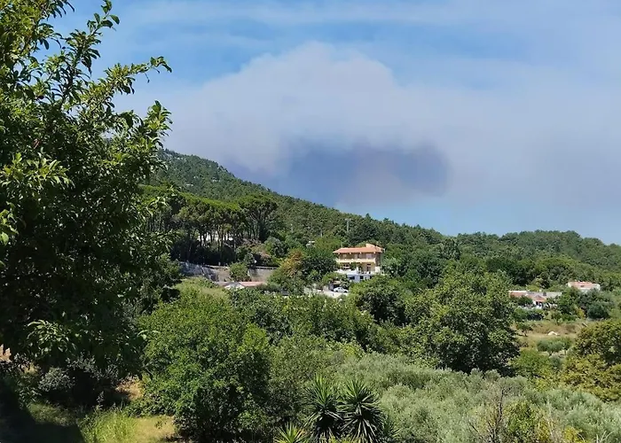 Apartamento Casa Marina *